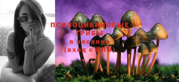 твердый Слюдянка