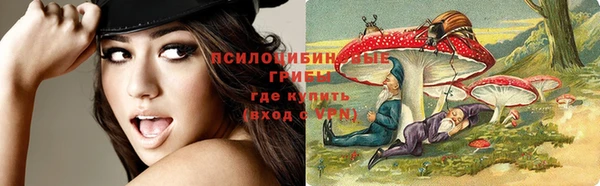 твердый Слюдянка