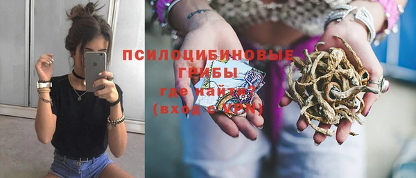 стафф Снежинск