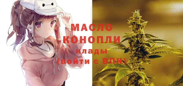 твердый Слюдянка