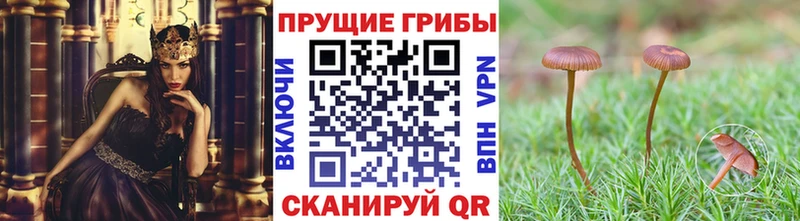 Галлюциногенные грибы мицелий  блэк спрут онион  Фрязино 