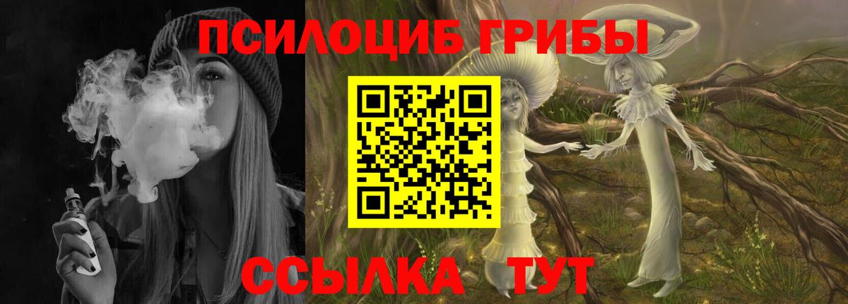 Псилоцибиновые грибы Magic Shrooms Фрязино