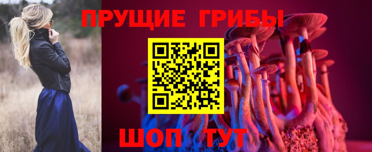 Фрязино  Галлюциногенные грибы Psilocybe  Вход с VPN 